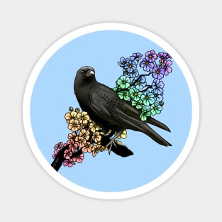 Crow in Rainbows Magnet